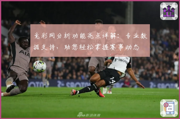 竞彩网分析功能亮点详解：专业数据支持，助您轻松掌握赛事动态