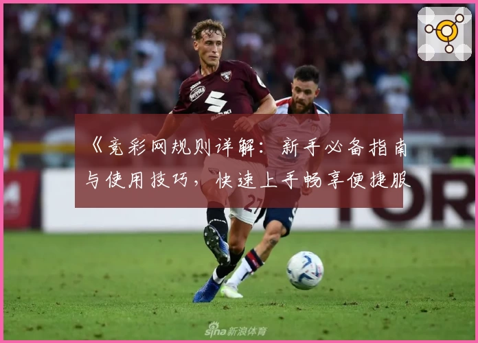 《竞彩网规则详解：新手必备指南与使用技巧，快速上手畅享便捷服务》